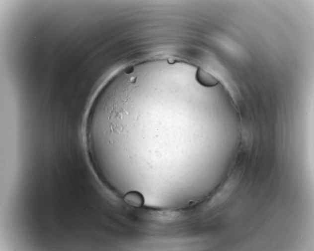 X0000096681090200802121207