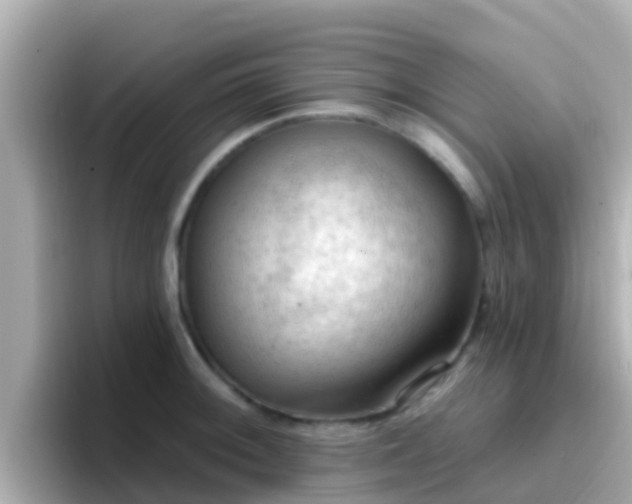 X0000096681092200802121207