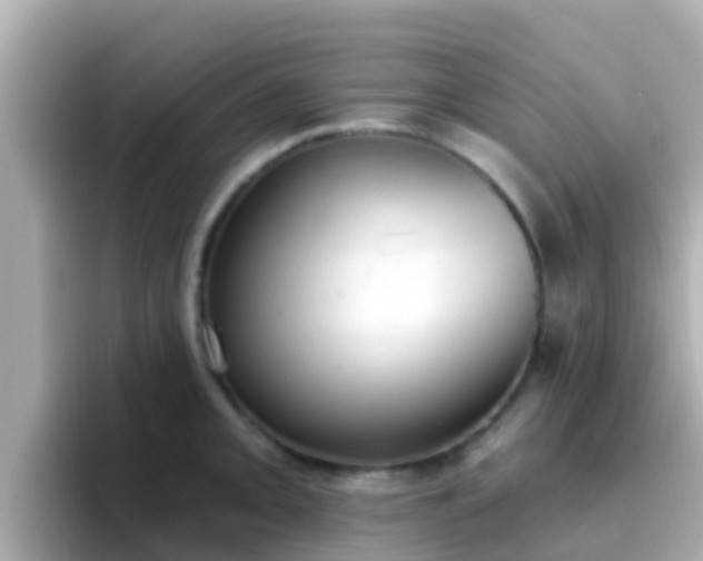 X0000096681093200802121207