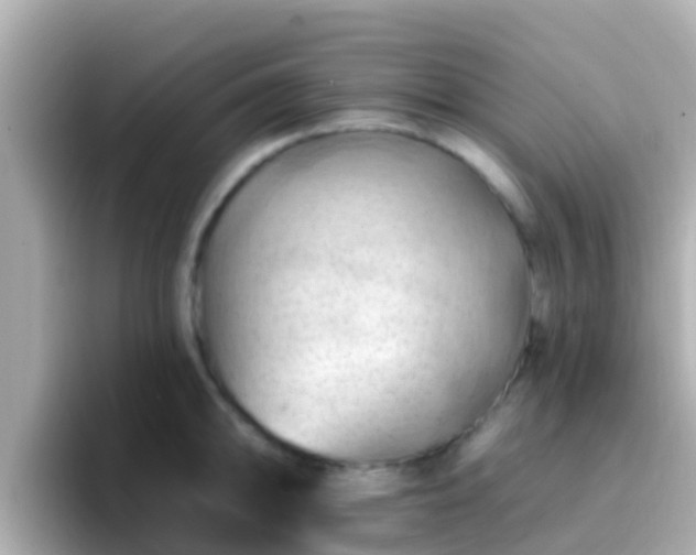 X0000096681094200802121207