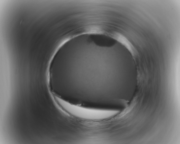 X0000096681095200802121207