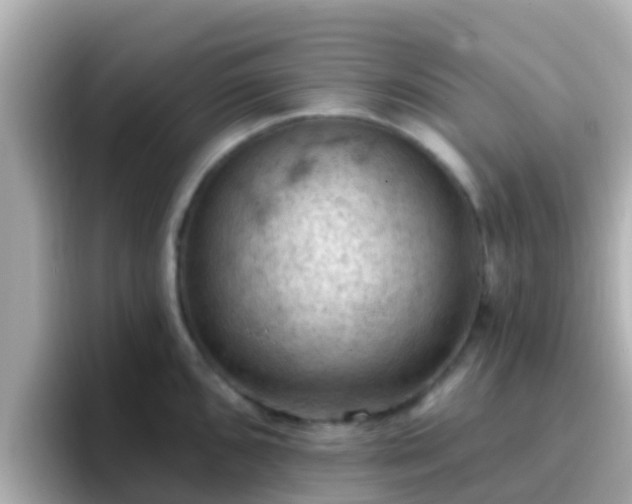 X0000096681096200802121207