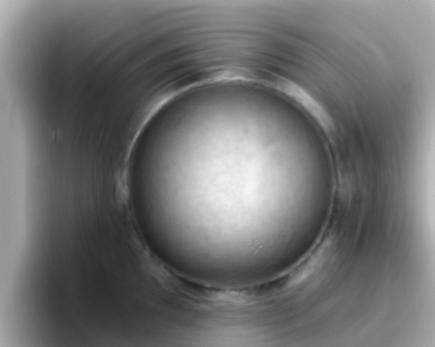 X0000096681097200802121207