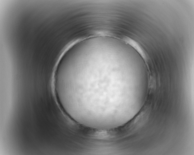 X0000096681098200802121206
