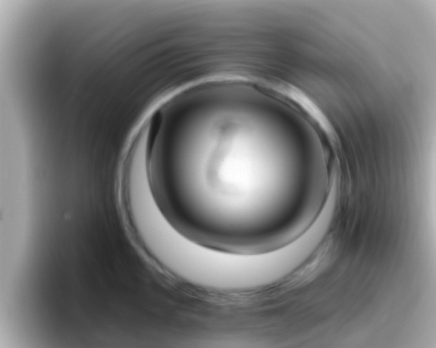 X0000096681101200802121206
