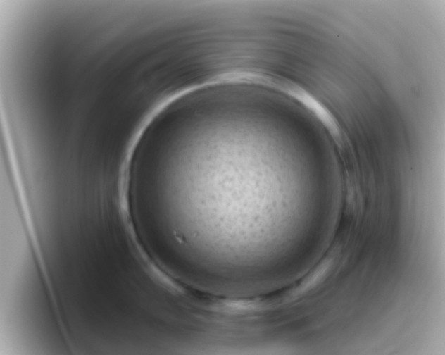 X0000096681102200802121206