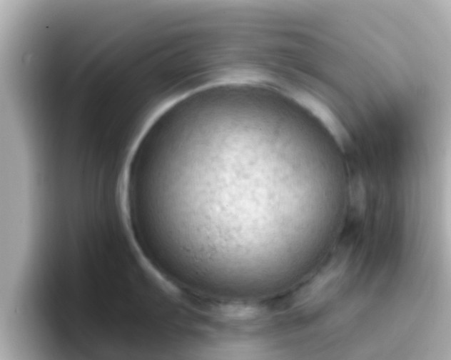 X0000096681103200802121206