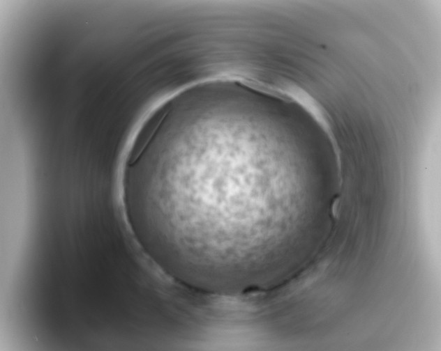 X0000096681104200802121206