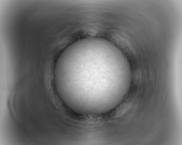 X0000096681105200802121206