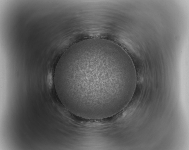 X0000096681106200802121206