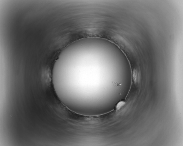 X0000096681107200802121206
