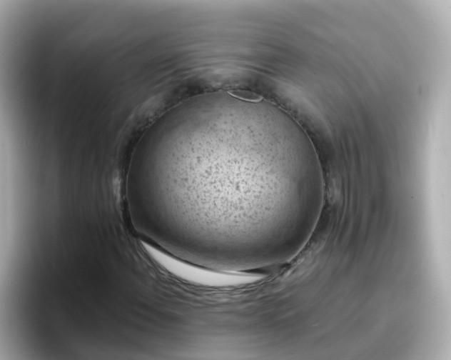 X0000096681108200802121206