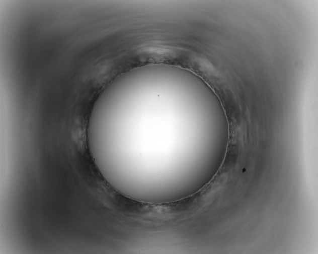 X0000096681109200802121206