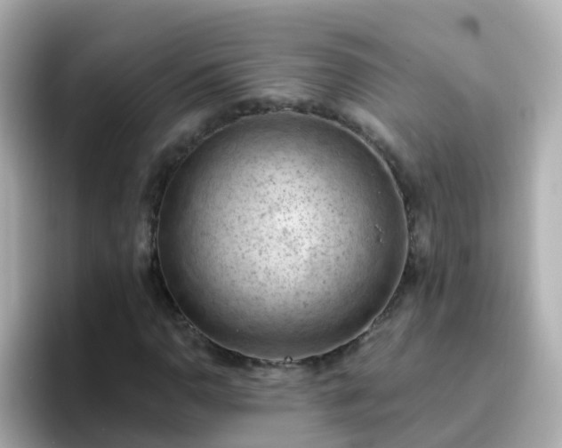 X0000096681110200802121206