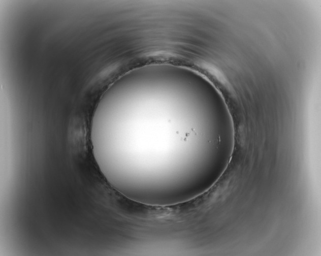 X0000096681111200802121206
