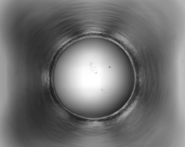 X0000096681113200802121206