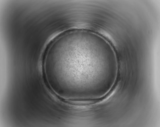 X0000096681114200802121206