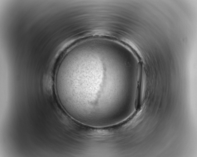 X0000096681115200802121206