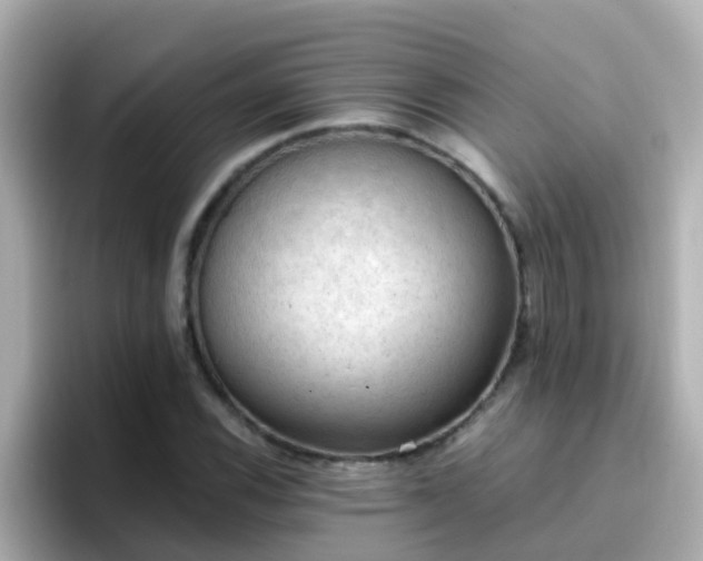 X0000096681116200802121206