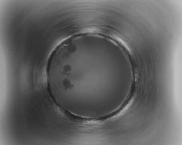 X0000096681117200802121206