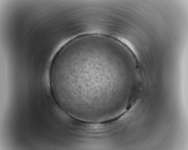 X0000096681120200802121206