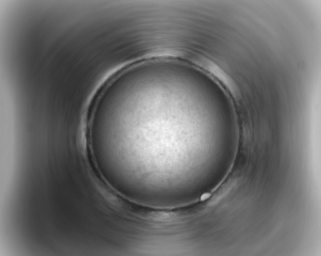 X0000096681124200802121206