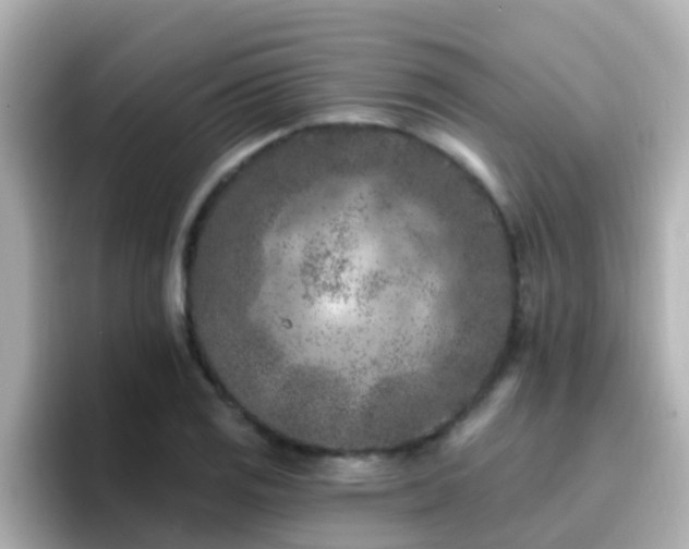 X0000096681125200802121206