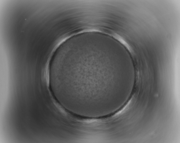 X0000096681127200802121206