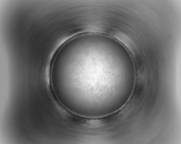 X0000096681128200802121206