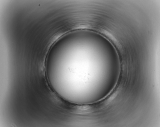 X0000096681129200802121206