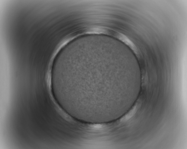 X0000096681130200802121206