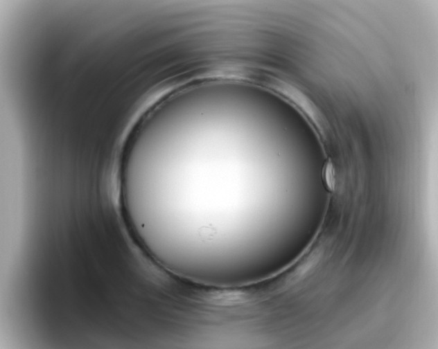 X0000096681131200802121206