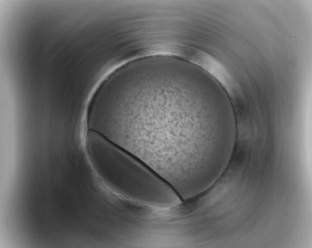 X0000096681132200802121206