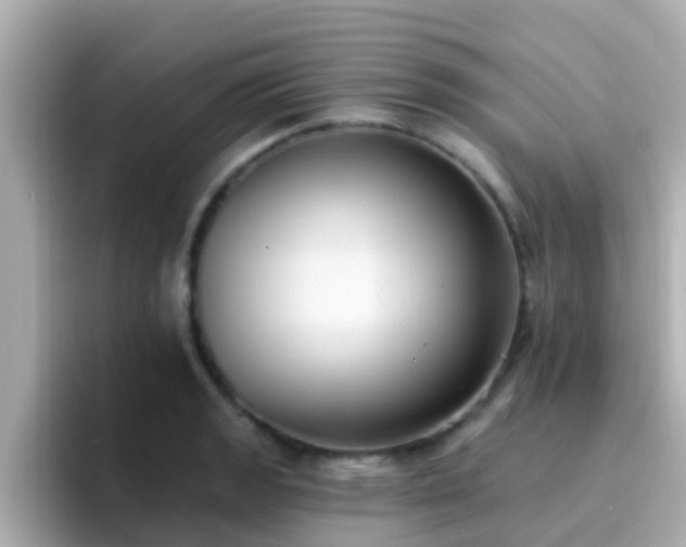 X0000096681133200802121206