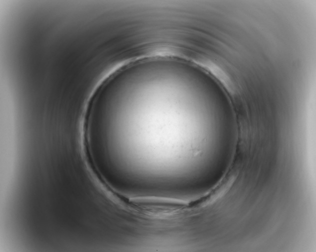 X0000096681134200802121206
