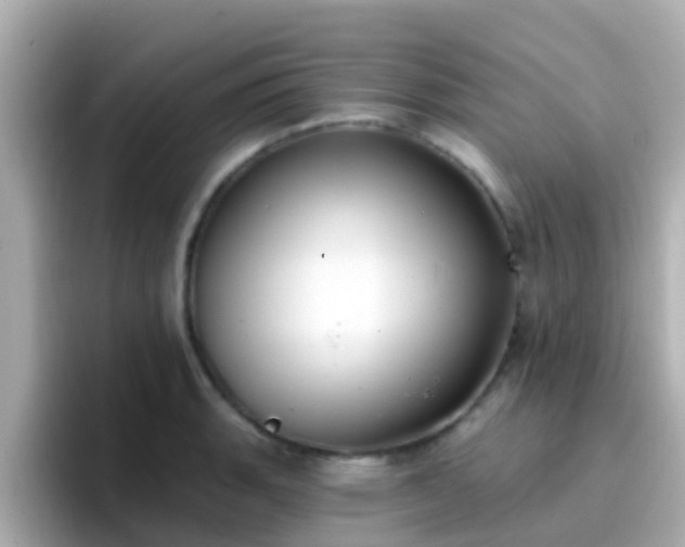X0000096681135200802121206