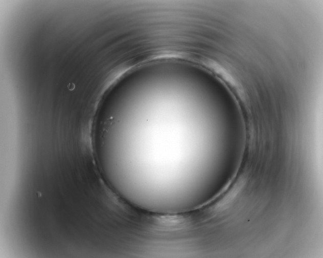 X0000096681137200802121206