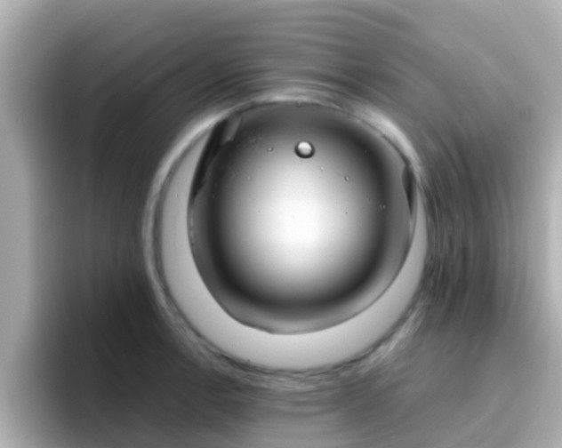 X0000096681138200802121206