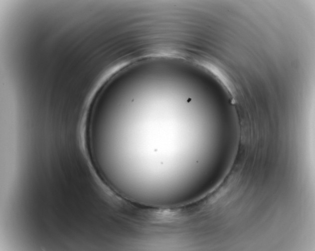 X0000096681139200802121206