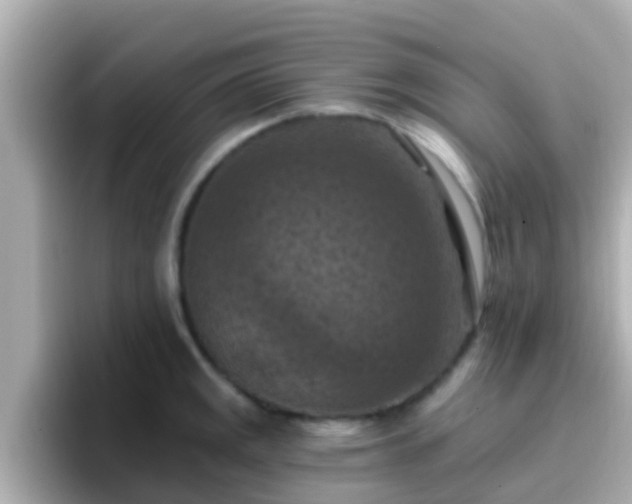 X0000096681141200802121206