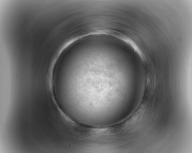 X0000096681143200802121206