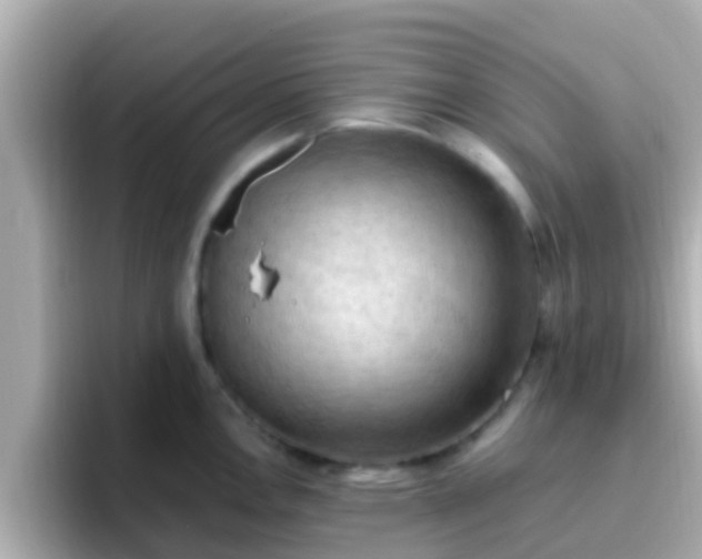 X0000096681146200802121206