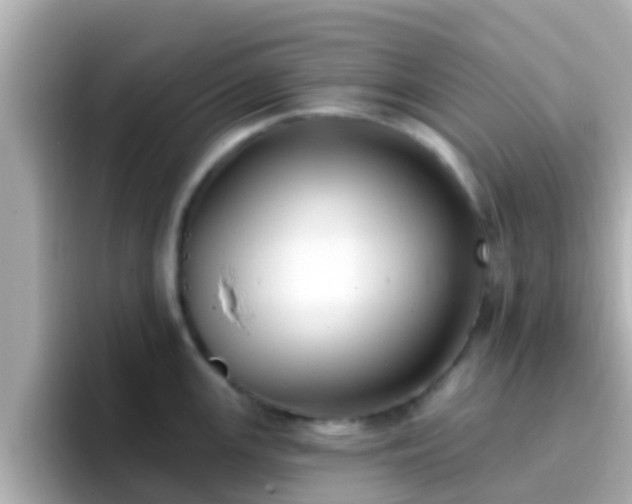 X0000096681147200802121206