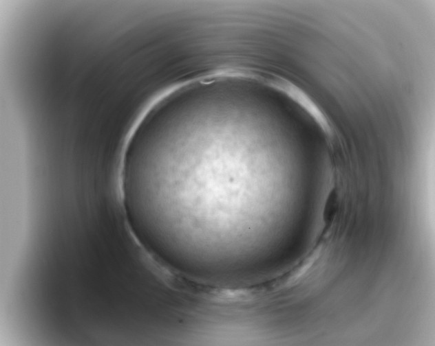 X0000096681148200802121206
