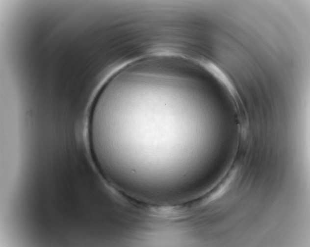 X0000096681149200802121206