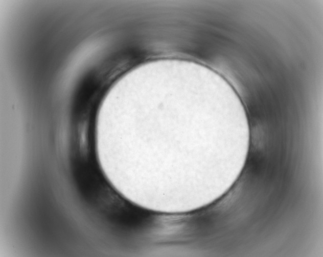 X0000096681150200802121206