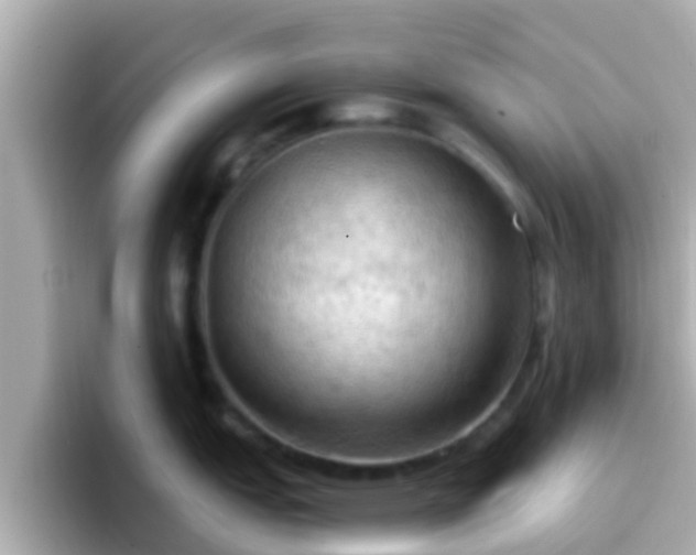X0000096681151200802121206