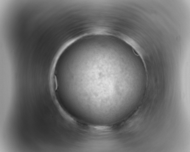 X0000096681152200802121206