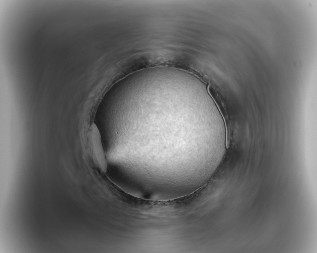 X0000096681153200802121206