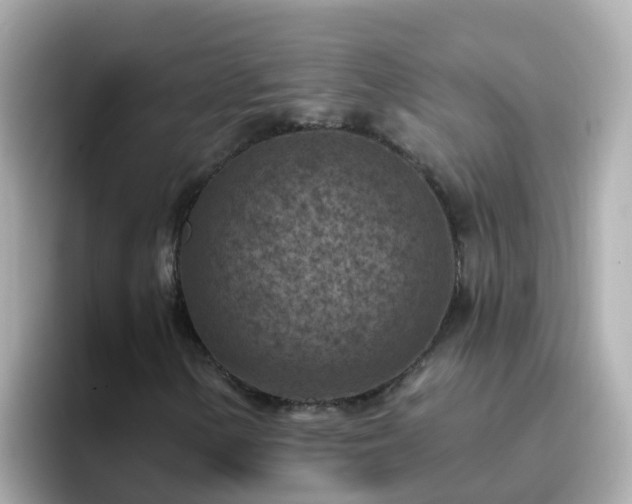 X0000096681154200802121206